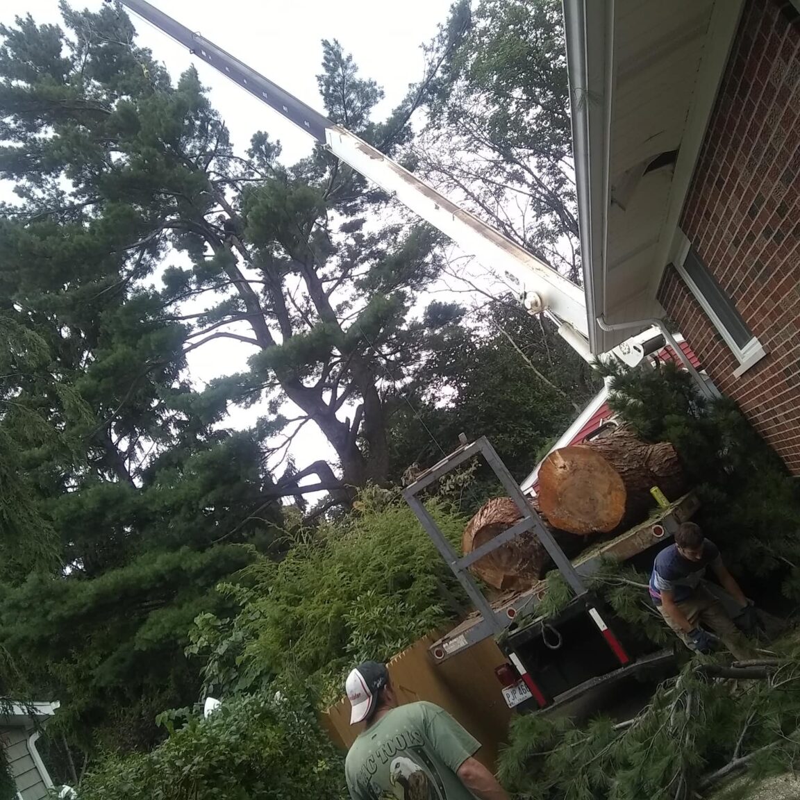 Home Miller's Tree Service