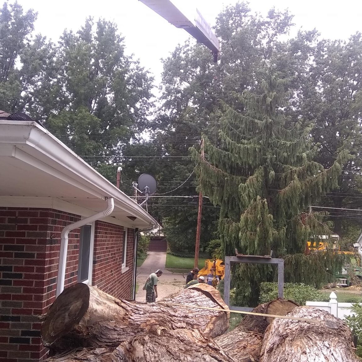 Home Miller's Tree Service